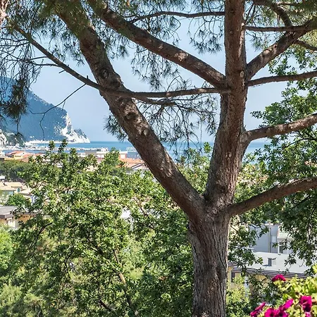 M261 - Marcelli, Trilocale Ristrutturato Con Terrazzo Vista Mare Pt Appartement *